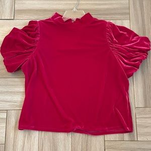 Eesome ladies velveteen blouse , size large
